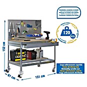 Simonrack Simonwork Banco de trabajo BT2 Box Mobile (L x An: 61 x 151 cm, Altura de trabajo: 152 cm, Carga soportada: 120 kg, Galvanizado) | BAUHAUS
