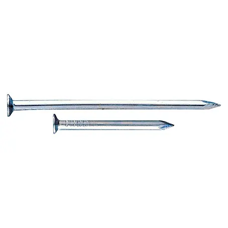 Index  Clavo con cabeza plana PACP34040