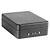 Arregui Caja de caudales Private C-9427 (L x An x Al: 20,3 x 15 x 6,5 cm, Negro)