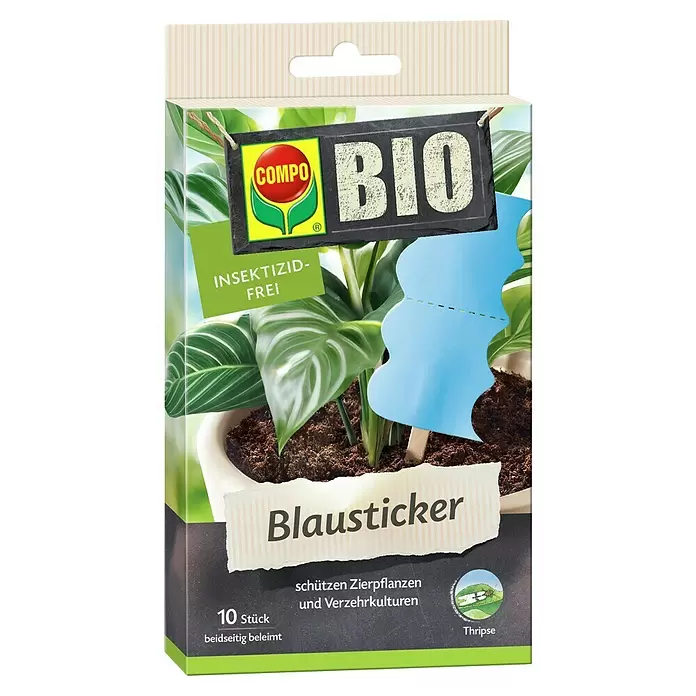Compo Klebefalle Blausticker - 10 Stk. - Insektizidfreie blaue Leimfallen (Blausticker) für Pflanzen. Beidseitig beleimt, gegen Thripse. 10 Stück.