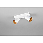 Trio Lighting Ledspot voor wanden en plafonds Sharp 2 spots (Wit, 2 st.) | BAUHAUS