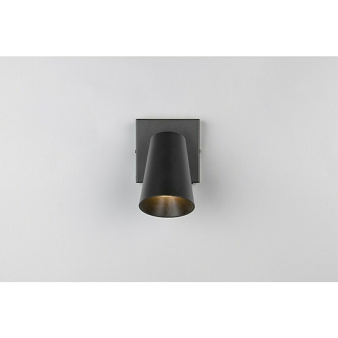 Trio Lighting Ledspot voor wanden en plafonds Sharp 1 spot (Zwart, 1 st.) | BAUHAUS