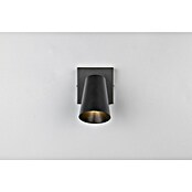 Trio Lighting Ledspot voor wanden en plafonds Sharp 1 spot (Zwart, 1 st.) | BAUHAUS