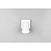 Trio Lighting Ledspot voor wanden en plafonds Sharp 1 spot (Wit, 1 st.) | BAUHAUS