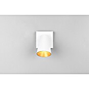Trio Lighting Ledspot voor wanden en plafonds Sharp 1 spot (Wit, 1 st.) | BAUHAUS