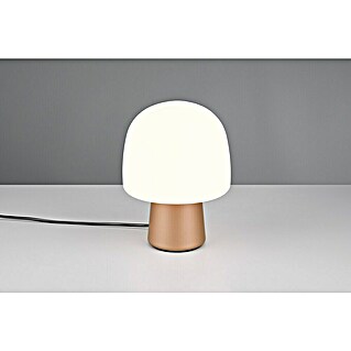 Trio Lighting Decoratieve tafellamp Steen (10 W, Wit, E14)