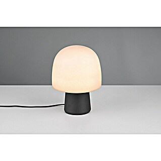 Trio Lighting Decoratieve tafellamp Steen (10 W, Taupe, E14)
