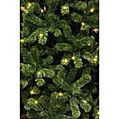 Black Box Trees Kunstkerstboom CHARLTON met LED (Hoogte: 215 cm, groen, LED-verlichting) | BAUHAUS