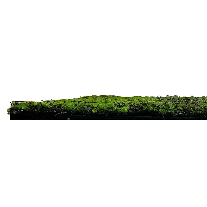 Jangal Wandpaneel Nature Design Flora - Green Ancient Tree, 520 x 520 x 20 mm - Das Bild zeigt eine grüne Moosplatte, die eine natürliche und lebendige Note in jeden Raum bringt. Ideal zur Dekoration von Innenräumen.