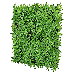 Jangal Wandpaneel Nature Design Flora
