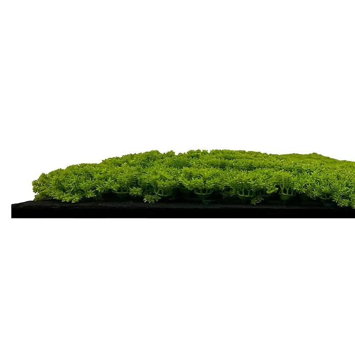 Jangal Wandpaneel Modular Wall Moos - Lime Green, 520 x 520 x 30 mm - Künstliche grüne Pflanzenreihe auf schwarzem Sockel für Landschaftsbau oder Dekoration.