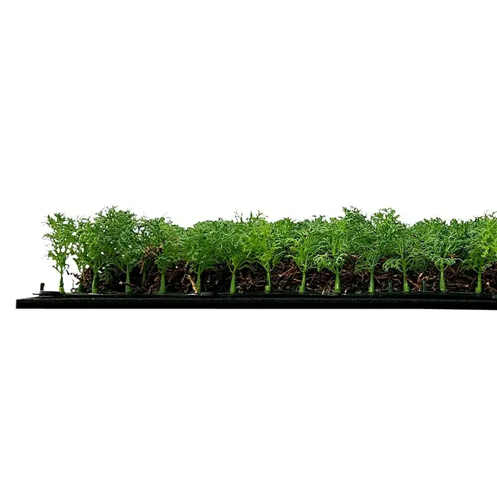 Jangal Wandpaneel Nature Design Flora - Thuja Tea Tree, 520 x 520 x 60 mm - Nahaufnahme eines grünen Matten-Teppichs mit filigranen Blättern, ideal für Dekorationen und Modellbau.