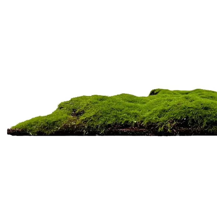 Jangal Wandpaneel Modular Wall Moos - Forest Green Bulk, 520 x 520 x 30 mm - Saftiges grünes Moos auf dunklem Erdboden, ideal für Dekoration oder Miniaturlandschaften.
