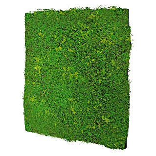 Jangal Wandpaneel Modular Wall Design Moos (520 x 520 mm)