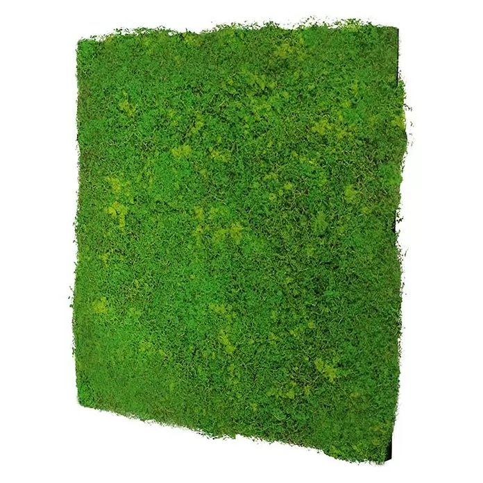 Jangal Wandpaneel Modular Wall Design Moos - Light Green Fibre, 520 x 520 mm - Rechteckige Platte aus leuchtend grünem, strukturiertem Moos.