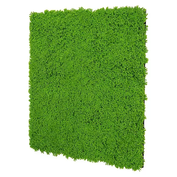 Jangal Wandpaneel Modular Wall Moos - Lime Green, 520 x 520 x 30 mm - Grüne künstliche Heckenplatte für eine üppige, natürlich aussehende Wandverkleidung.