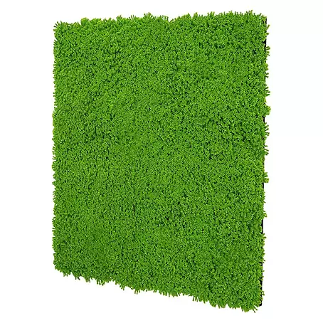 Jangal  Wandpaneel Modular Wall Moos