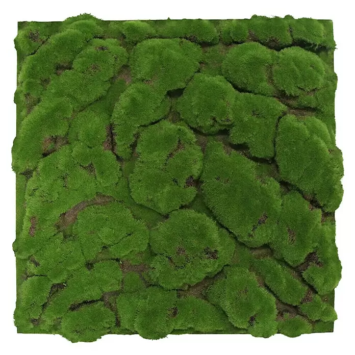 Jangal Wandpaneel Modular Wall Moos - Forest Green Big Bulk, 520 x 520 x 30 mm - Quadratische grüne Moosmatte mit natürlicher Textur und sichtbarer brauner Erde.