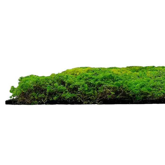Jangal Wandpaneel Modular Wall Design Moos - Light Green Fibre, 520 x 520 mm - Bild einer flachen Matte aus grünem Islandmoos mit leicht unregelmäßiger Oberfläche, ideal für Dekorationen und florale Arrangements.