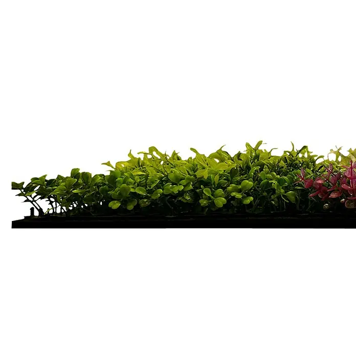 Jangal Wandpaneel Flora - Pink Mixed Flora, 520 x 520 x 40 mm - Nahaufnahme einer künstlichen Hecke mit grünen und rosafarbenen Blättern vor einem schwarzen Hintergrund. Dekorative Pflanzen für Zuhause.