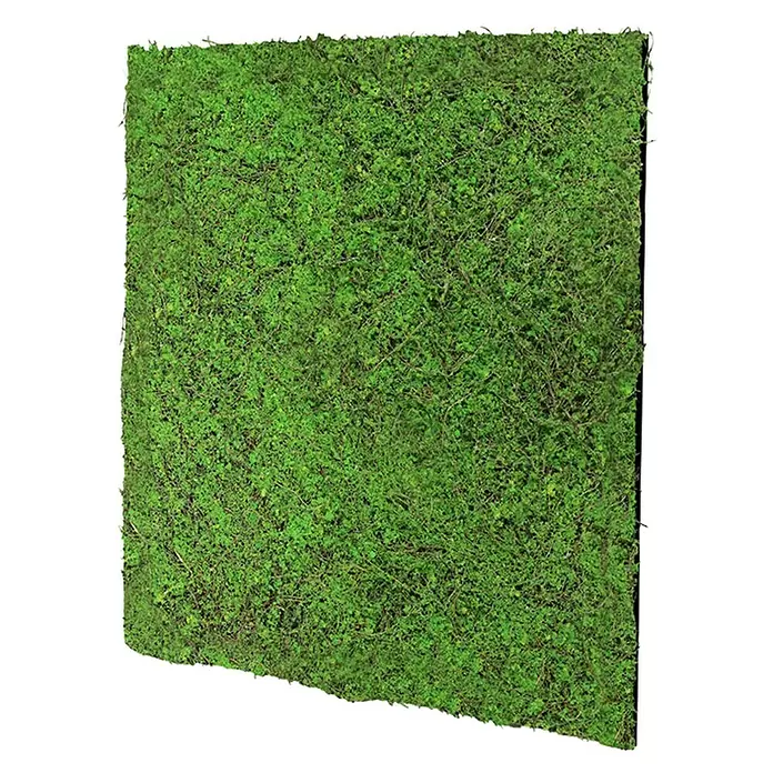 Jangal Wandpaneel Nature Design Flora - Green Ancient Tree, 520 x 520 x 20 mm - Quadratische grüne Kunstmoosplatte, ideal für dekorative Wandverkleidungen.