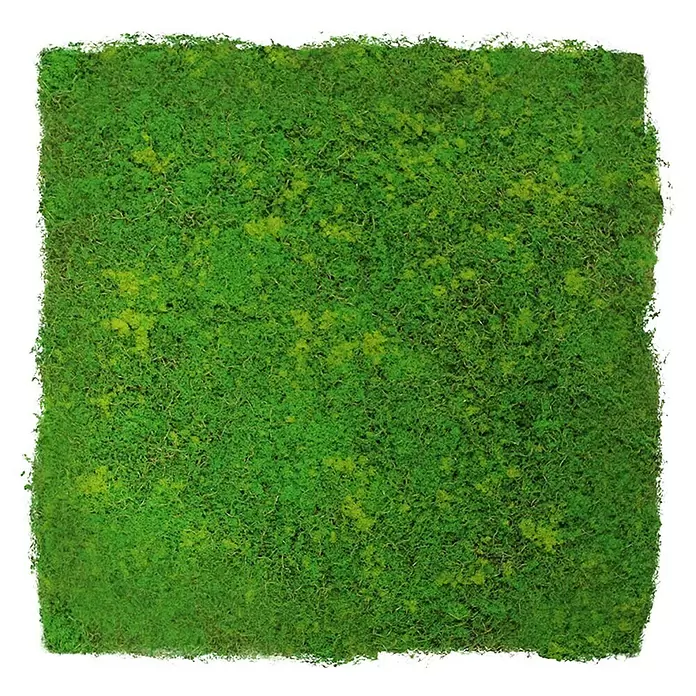 Jangal Wandpaneel Modular Wall Design Moos - Light Green Fibre, 520 x 520 mm - Quadratische Platte aus leuchtend grünem Naturmoos.