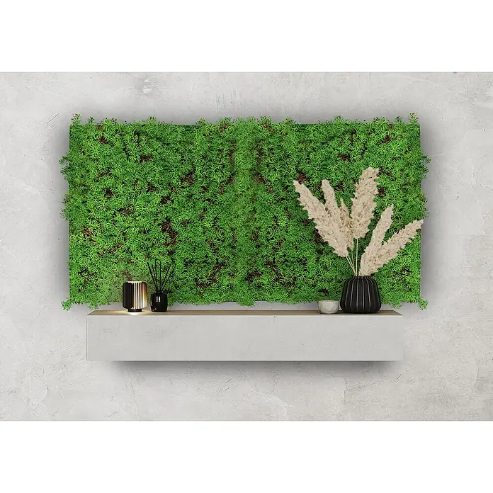 Jangal Wandpaneel Nature Design Flora - Thuja Tea Tree, 520 x 520 x 60 mm - Wanddekoration mit Moos, minimalistischem Regal, Lampe und Dekovasen. Das Grün des Mooses setzt einen natürlichen Akzent im Raum.
