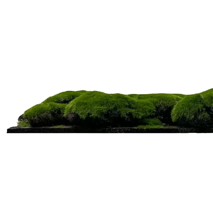 Jangal Wandpaneel Modular Wall Moos - Forest Green Big Bulk, 520 x 520 x 30 mm - Saftig grünes Kunstmoos in mehreren natürlichen Hügeln auf dunklem Sockel.