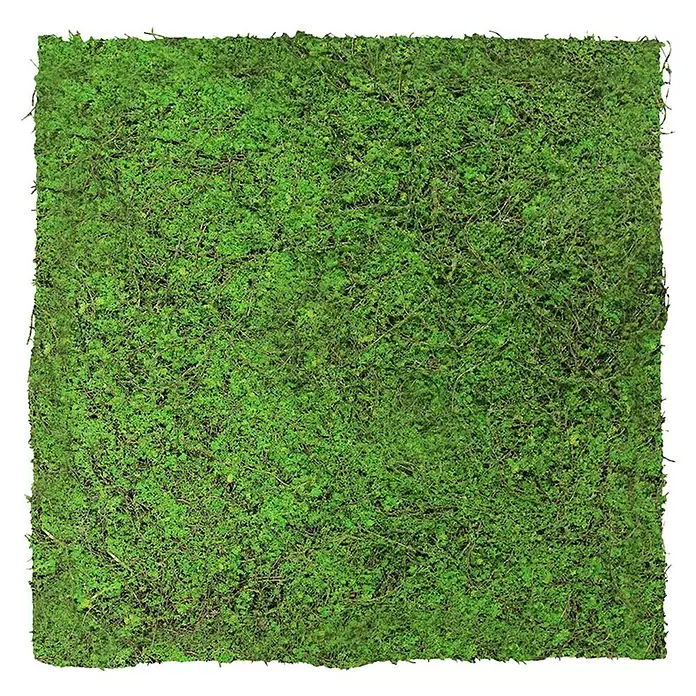 Jangal Wandpaneel Nature Design Flora - Green Ancient Tree, 520 x 520 x 20 mm - Quadratische Platte aus lebhaft grünem konserviertem Moos mit natürlicher Textur.