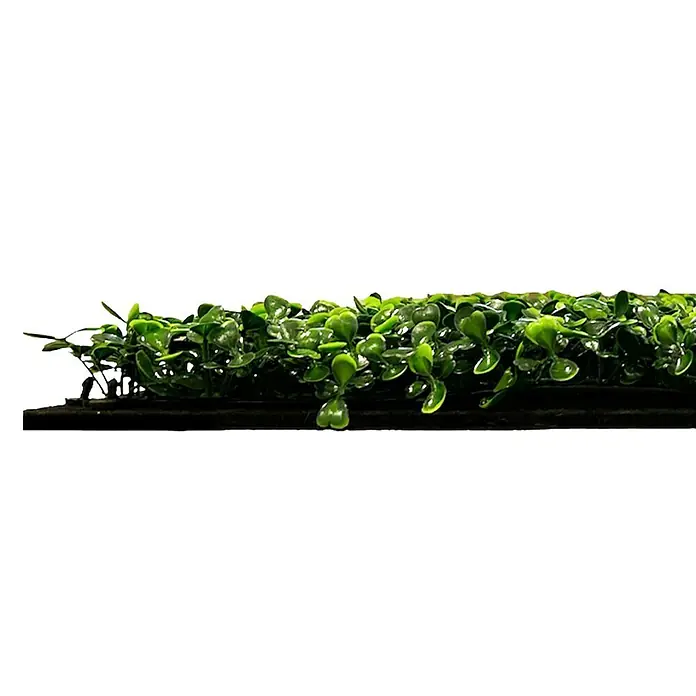 Jangal Wandpaneel Flora - Dark Green Design Buxus, 520 x 520 x 22 mm - Nahaufnahme von künstlichem Buchsbaum-Panel. Es bietet eine realistische Optik, ist UV-beständig und wartungsarm für Innen- und Außenbereiche.