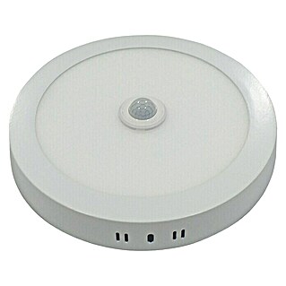 Plafón LED redondo con sensor luz neutra (18 W, Ø x Al: 22 x 4 cm, Blanco, Blanco neutro)
