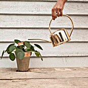 Esschert Design Trak proti polžem  (Baker, 3 cm x 5 m) | 7533 - Fallen und Tafeln | IAHE - Pflanzenschutz bio-mechanisch | IAH - Dünger / Pflanzenschutz | IA - Gartenhartware | I - Stadtgarten | BAUHAUS
