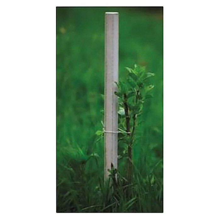 Palica za rastlino  (Višina: 150 cm, Širina: 3,7 cm) | 7407 - Metall Spaliere/Stäbe/Staudenhalter | IAGA - Metallzaun | IAG - Außenbereichsausstattung | IA - Gartenhartware | I - Stadtgarten | BAUHAUS