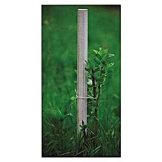 Palica za rastlino (Višina: 150 cm, Širina: 3,7 cm)