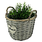 Pflanzkorb Home (Durchmesser: 28 cm, Holz, Grau) | BAUHAUS