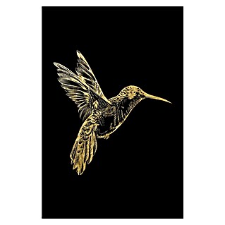 Glasbild (Kolibri Gold, B x H: 50 x 50 cm)