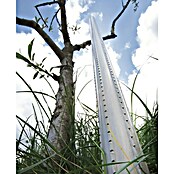 Kol za drevesa  (Premer: 5 cm, Višina: 165 mm) | 7407 - Metall Spaliere/Stäbe/Staudenhalter | IAGA - Metallzaun | IAG - Außenbereichsausstattung | IA - Gartenhartware | I - Stadtgarten | BAUHAUS