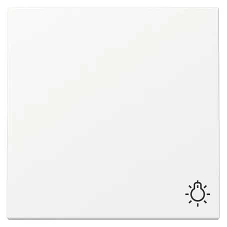 Gira System 55 Universalwippe mit Lichtsymbol 328527