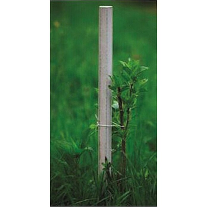 Potporni štap za biljke  (Visina: 150 cm, Širina: 3,7 cm) | BAUHAUS