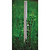 Palica za rastlino  (Višina: 150 cm, Širina: 5 cm) | 7407 - Metall Spaliere/Stäbe/Staudenhalter | IAGA - Metallzaun | IAG - Außenbereichsausstattung | IA - Gartenhartware | I - Stadtgarten | BAUHAUS