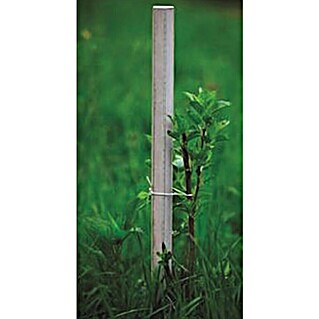 Palica za rastlino (Višina: 150 cm, Širina: 5 cm)