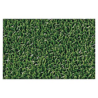 Predpražnik za vhodna vrata Astro (Do x Š: 60 x 40 cm)