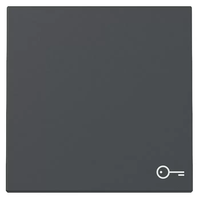 Gira System 55 Universalwippe mit Schlüsselsymbol 328728 - Anthrazit, Kunststoff - Dunkelgraues quadratisches Panel mit weißem Schlüsselsymbol für Sicherheit oder Zugangskontrolle.
