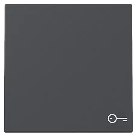 Gira System 55 Universalwippe mit Schlüsselsymbol 328728