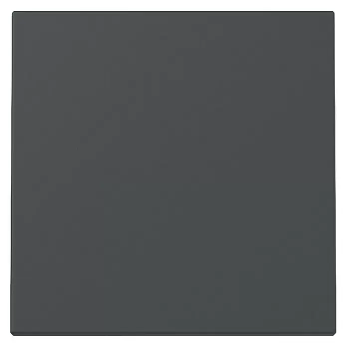 Gira System 55 Universalwippe 329628 - Ohne Symbol, Anthrazit, Kunststoff - Dunkelgraues Quadrat.