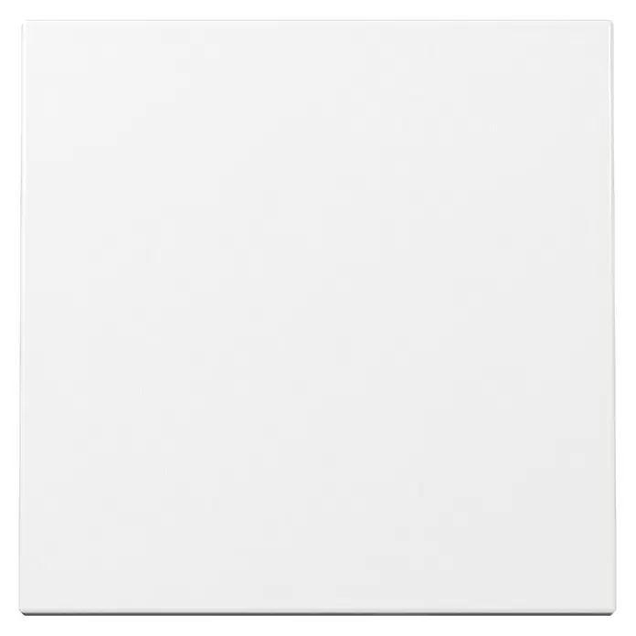 Gira System 55 Universalwippe 329603 - Ohne Symbol, Reinweiß glänzend, Kunststoff - Matte weiße quadratische Platte mit subtiler Textur.