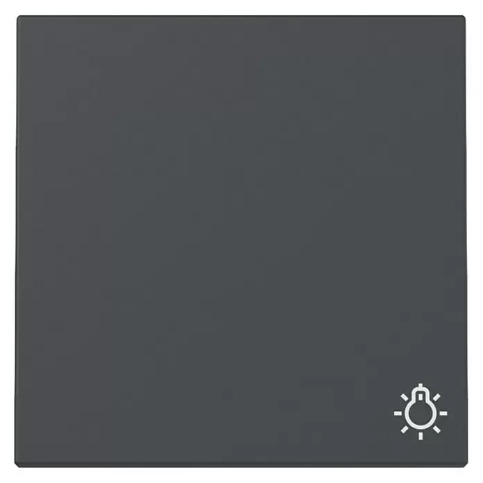 Gira System 55 Universalwippe mit Lichtsymbol 328528