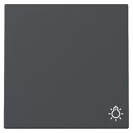 Gira System 55 Universalwippe mit Lichtsymbol 328528