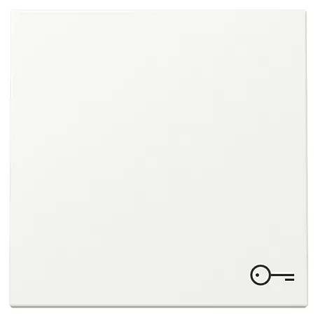 Gira System 55 Universalwippe mit Schlüsselsymbol 328727