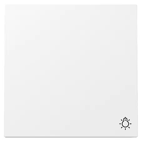 Gira Flächenschalter Universalwippe mit Lichtsymbol 328570